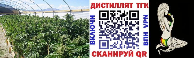 Дистиллят ТГК вейп  Шацк 