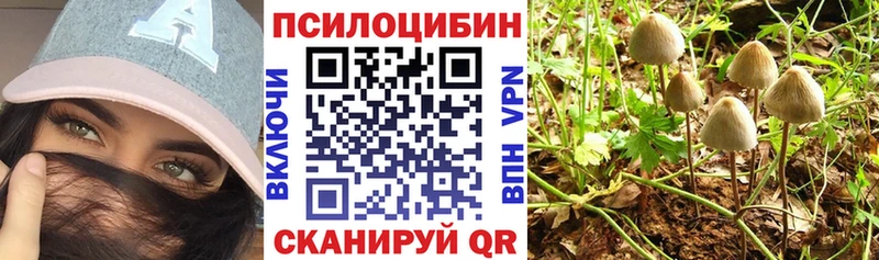продажа наркотиков  Шацк  Псилоцибиновые грибы мухоморы 